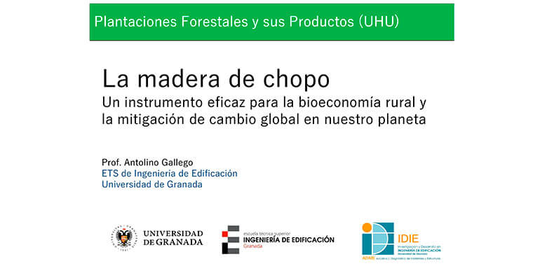 presentacion-conferencia-ciclo-plantaciones-forestales-sus-productos-universidad-huelva
